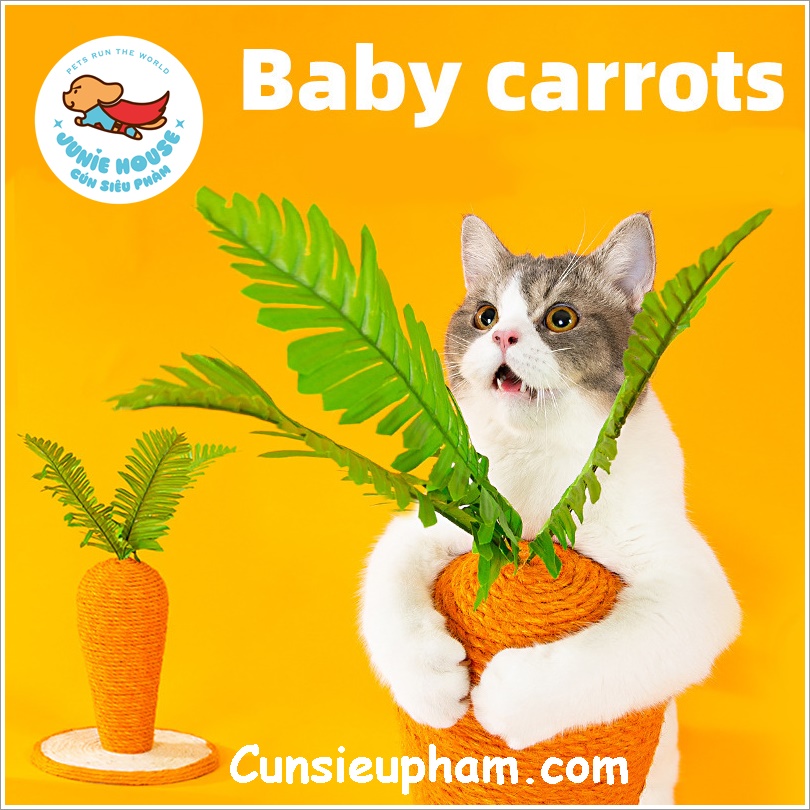 Đồ chơi cây cà rốt cào móng cho mèo