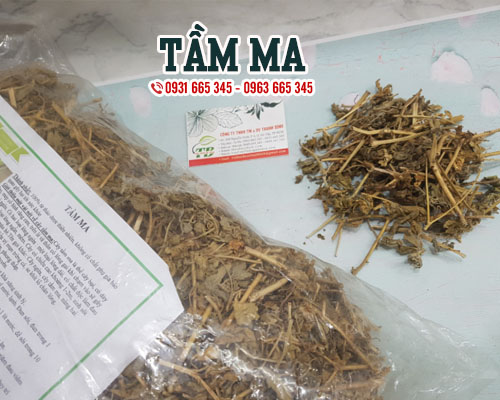 Cây Tầm Ma 1KG Khô - Thảo Dược Thanh Bình