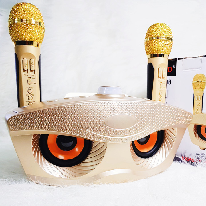 Loa Karaoke SDRD SD-301 Bluetooth chắc âm, tặng 2 mic theo loa (Mic vs loa cùng pin sạc)