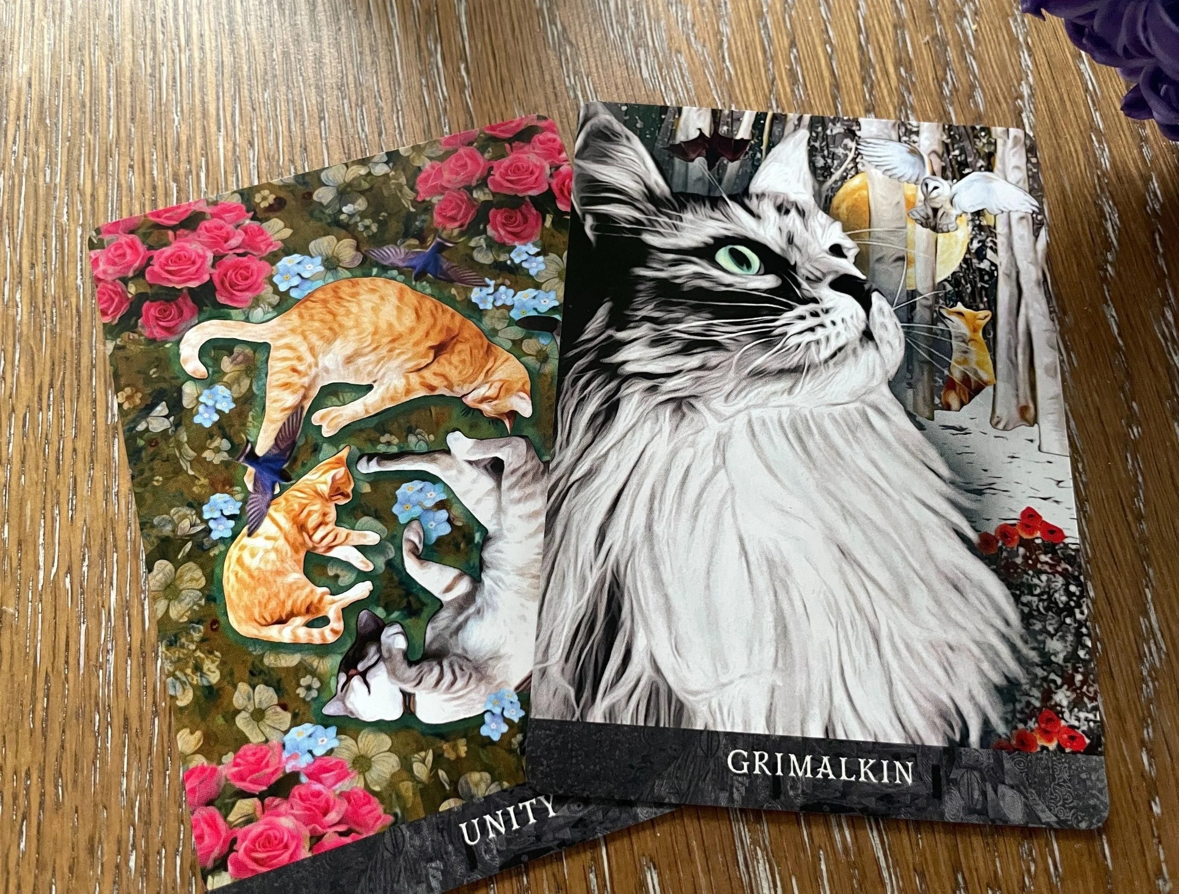 Bài Grimalkin's Curious Cats Tarot