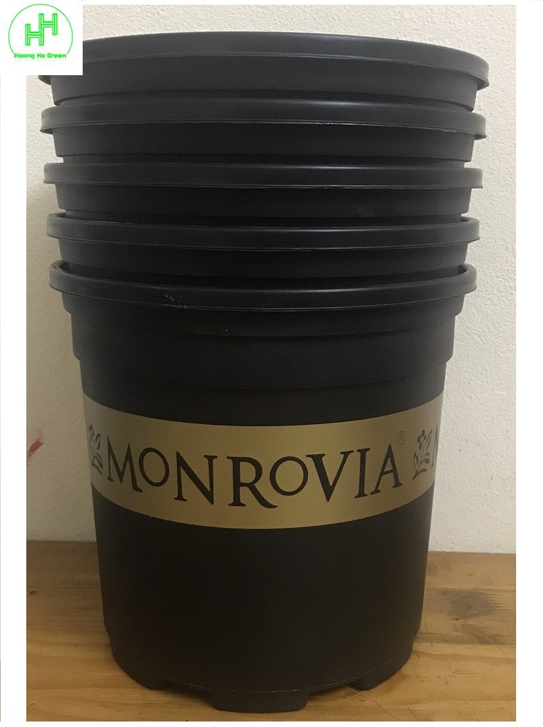 5 Chậu MONROVIA CH Garden 2Gal
