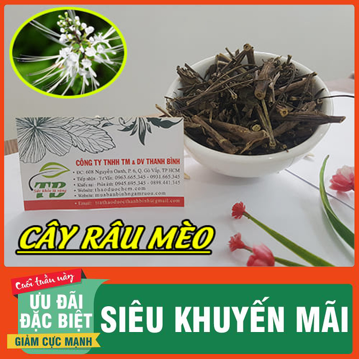 Cây râu mèo khô 100g hàng cty loại đặc biệt - dược liệu thanh bình
