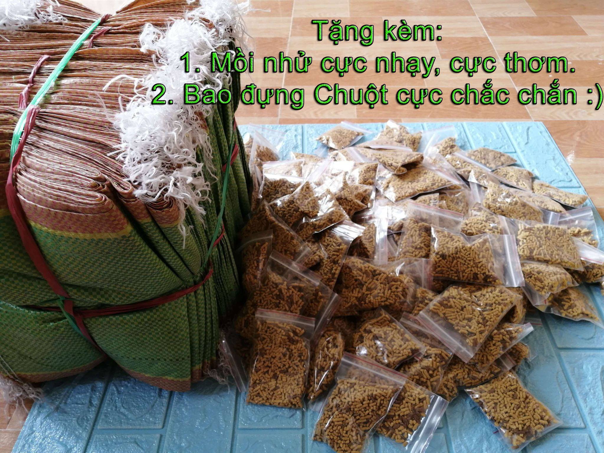 Bẫy Chuột Thông Minh NĂM PHƯỚC Loại ĐẠI