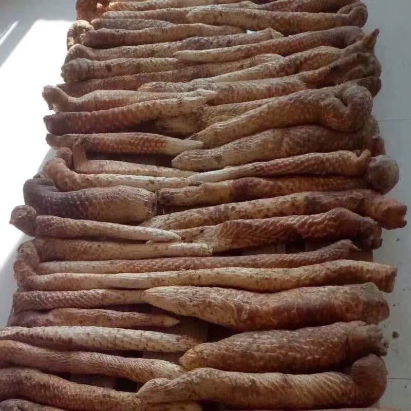 Nhục Thung Dung 500gr