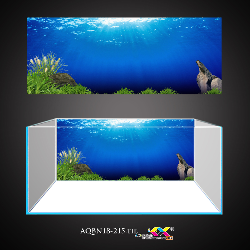 Phông nền 3d hồ cá: Phông nền 3D hồ cá giúp bể của bạn trở nên sống động hơn bao giờ hết. Hình ảnh rực rỡ được in đầy tính sáng tạo và sắc màu cực kỳ tươi sáng. Việc trang trí bể cá từ những chi tiết nhỏ sẽ giúp tạo nên không gian xung quanh trở nên hoàn hảo.