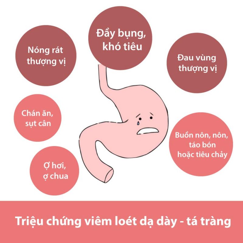 Thanh Nhiệt thảo dược chè Thái Bình