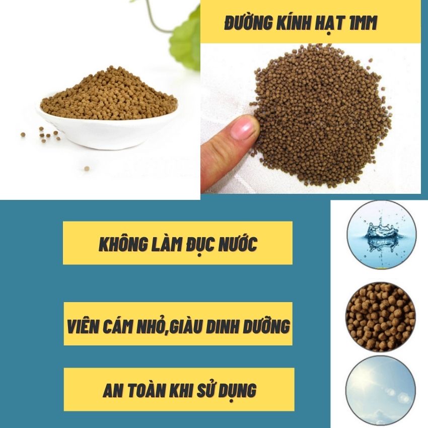 Thức ăn cho cá cảnh, đồ ăn cho cá