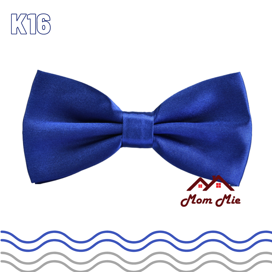 Silk men's bow tie