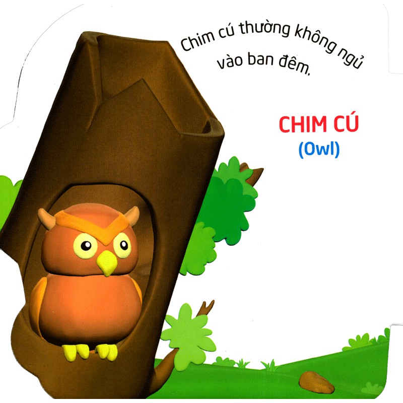 Sách: Thế Giới Trong Mắt Em - Chim