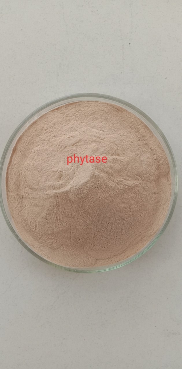 MEN VI SINH *(Enzyme Phytase 5.000 Ui) - 5kg