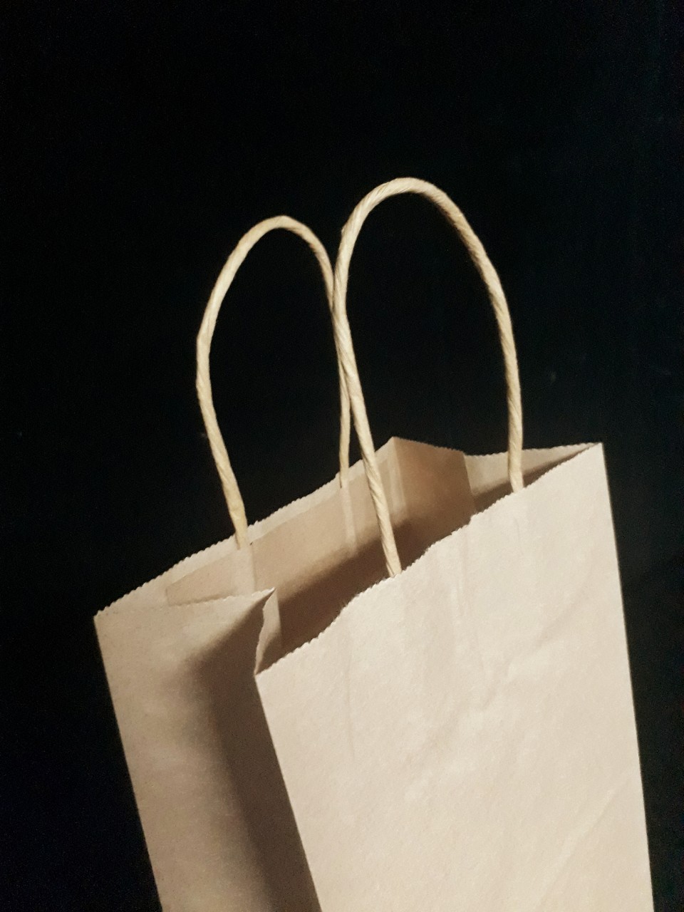 Túi giấy kraft take away (100 túi)