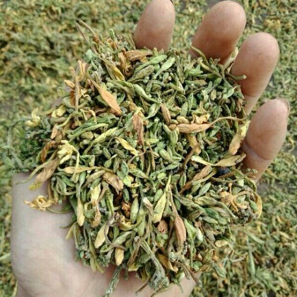 100g hoa đu đủ đực khô