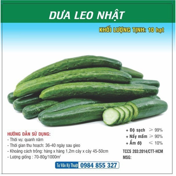 [SALE] Hạt giống Dưa Leo Nhật TN - HGVT1