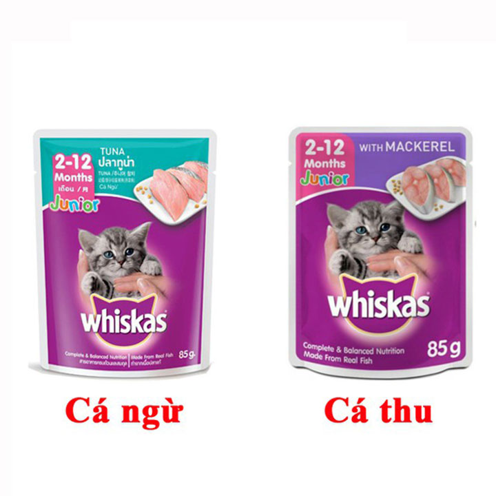 [HOÀN TIỀN 10%]Pate mèo con Whiskas Junior 80g Thức ăn ướt cho mèo con - CutePets
