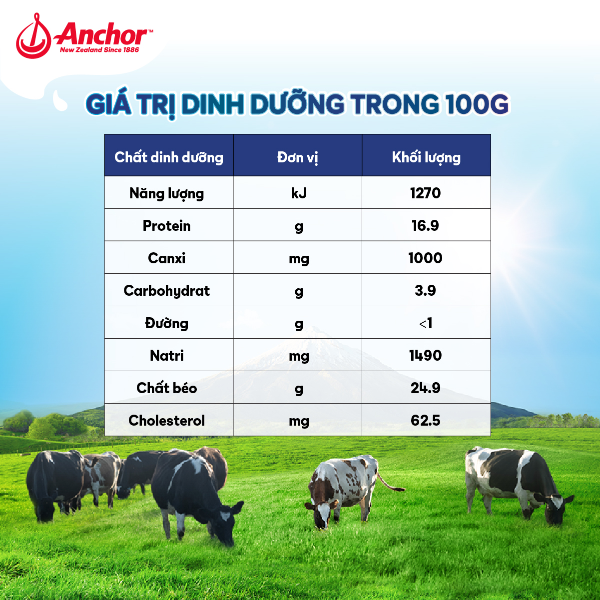 [GIAO HÀNG HỎA TỐC - HCM] Combo 2 Phô Mai Lát Anchor Cheddar 200G (12 Miếng)