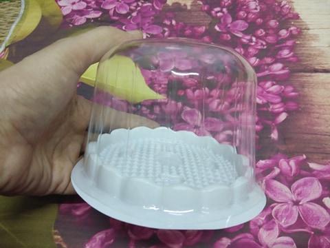 BỘ 100 HỘP NHỰA ĐỰNG BÁNH ĐẾ TRẮNG NẮP MÔ 10 CM