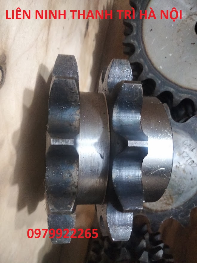 Bánh răng xích đôi 60 14  đến 17 răng. Nhông đôi 60