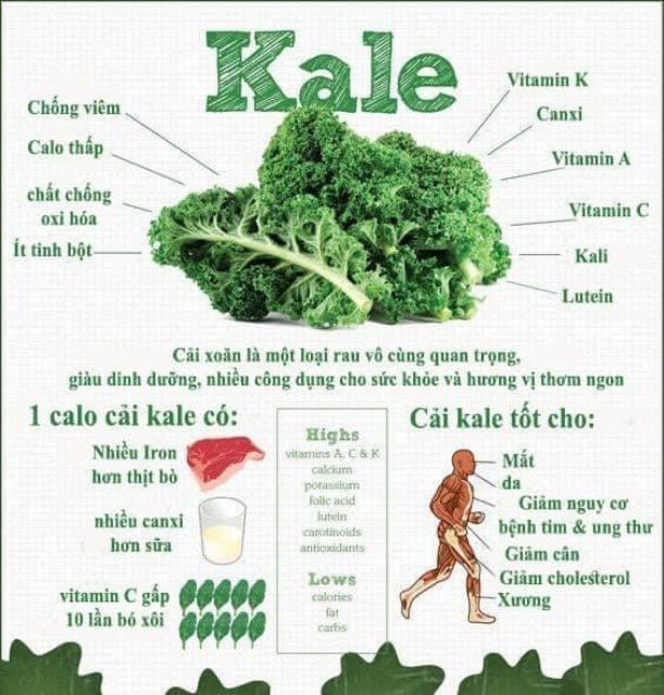 Mì cải KALE Hữu cơ healthy (400g =15 vắt mì)