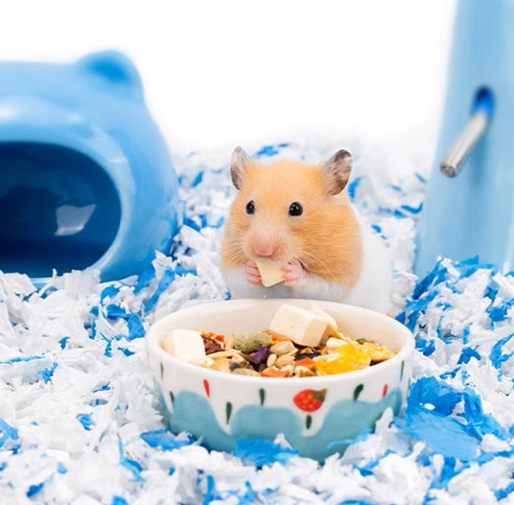 chén sứ kem dâu cho hamster, thỏ, bọ,chó, mèo - T3 PETS SHOP