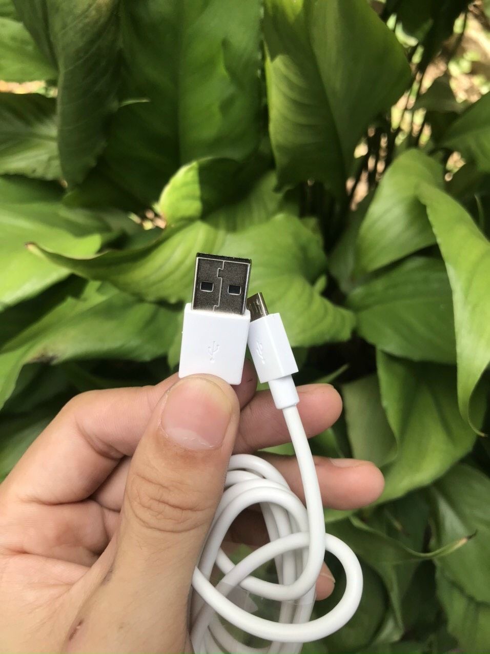 Cáp sạc nhanh Oppo 2A chân Micro