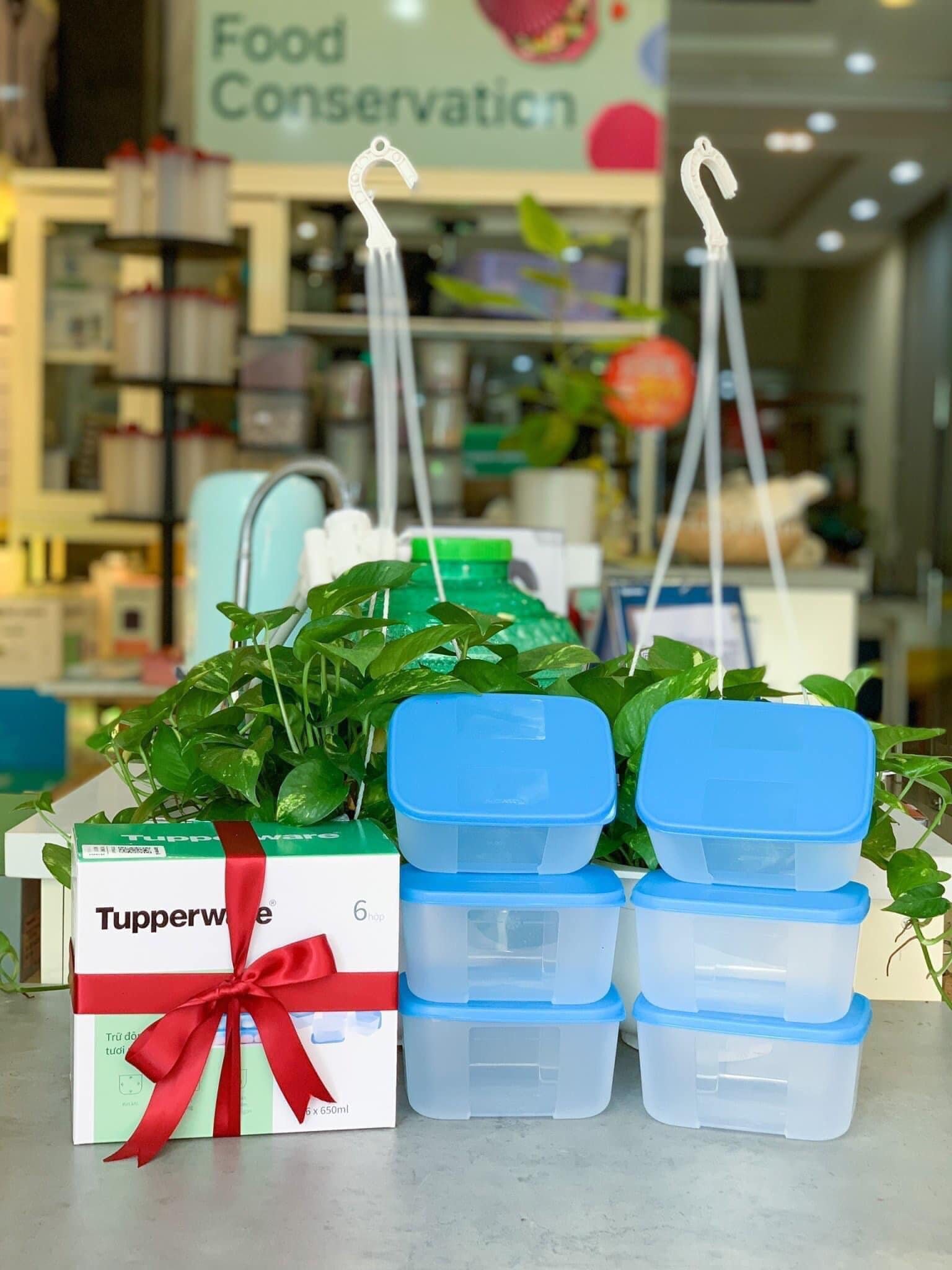 Bộ Hộp Tupperware Trữ Đông Freezermate 650ml (6 Hộp)
