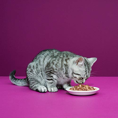 [Hộp 12 Gói] Pate Whiskas Cho Mèo Trưởng Thành - Cá Thu 80g