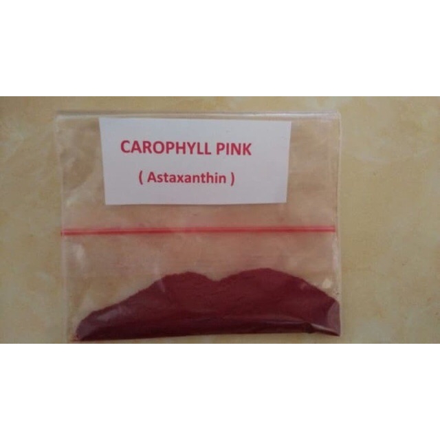Carophyll Trộn Đồ Tươi Cho Cá Cảnh (1 Gram)