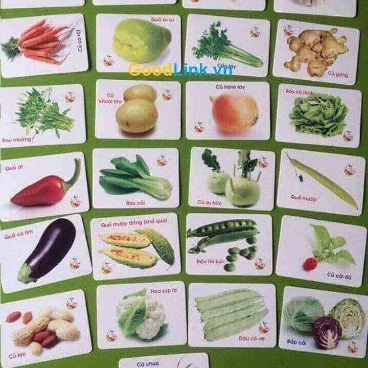 Bộ Thẻ Học 16 Chủ Đề GD0056