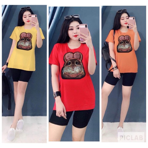 SET BỘ COTTON  THỎ KIMSA - TD31