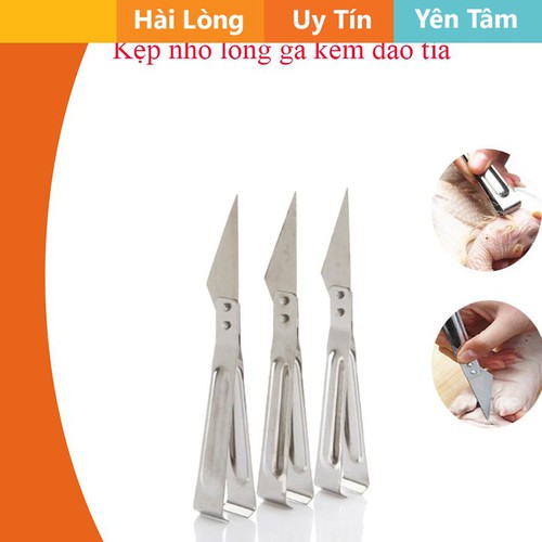 Nhíp nhổ lông gà vịt