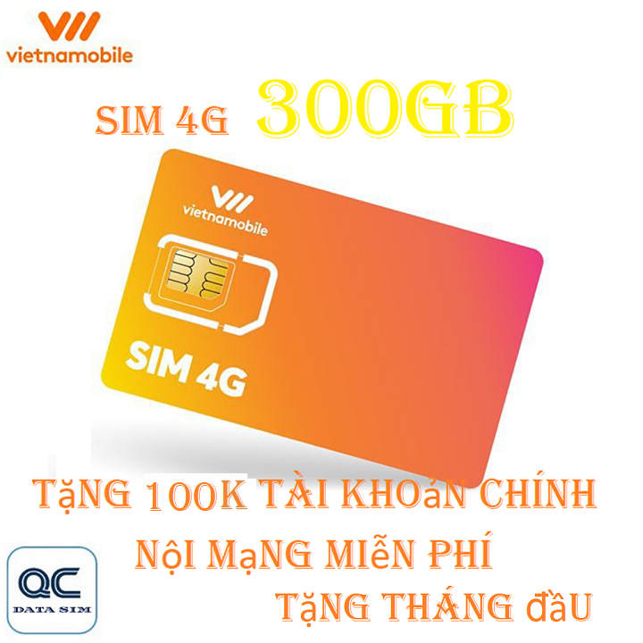 FREESHIP - CHƯA KÍCH HOẠT  [HCM]Siêu thánh sim king-4G VNMB miễn phí max data 300GB