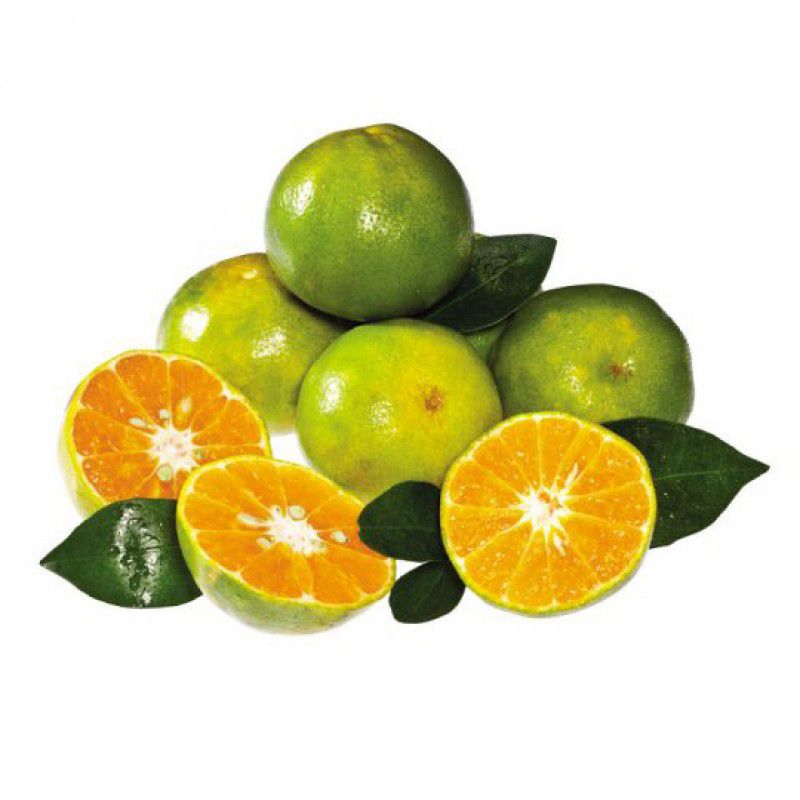 Quýt Đường Túi 1Kg - Grove Fresh