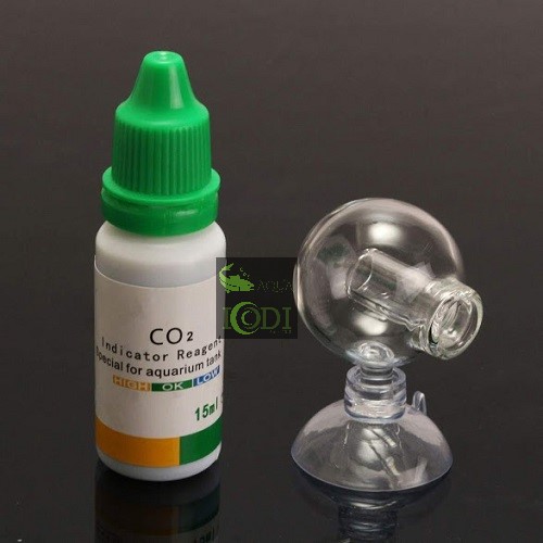 Kiểm tra nồng độ CO2 (nguyên bộ)