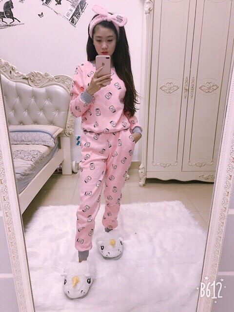 Bộ ngủ nữ, bộ mặc nhà nữ lót nỉ chất đẹp