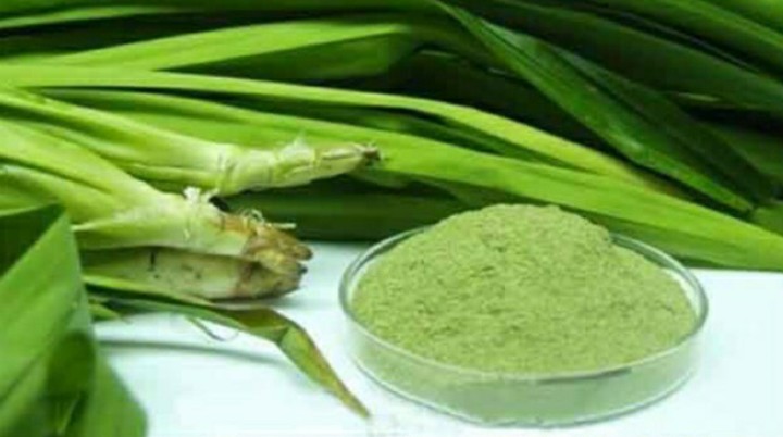 Bột lá dứa bột lá nếp Việt Nam - Pandan Powder