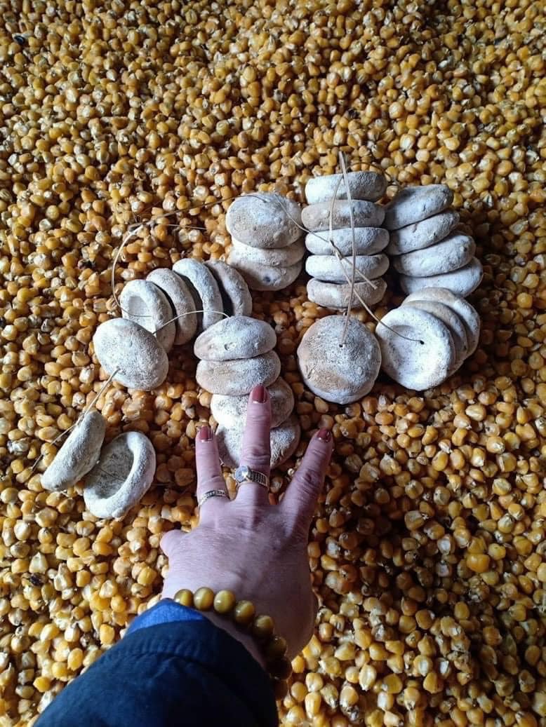 (5 lít) Rượu Ngô đặc sản Hà Giang