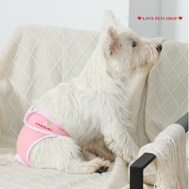 Quần sinh lý cho Chó Mèo Hipidog - Love Pets Shop