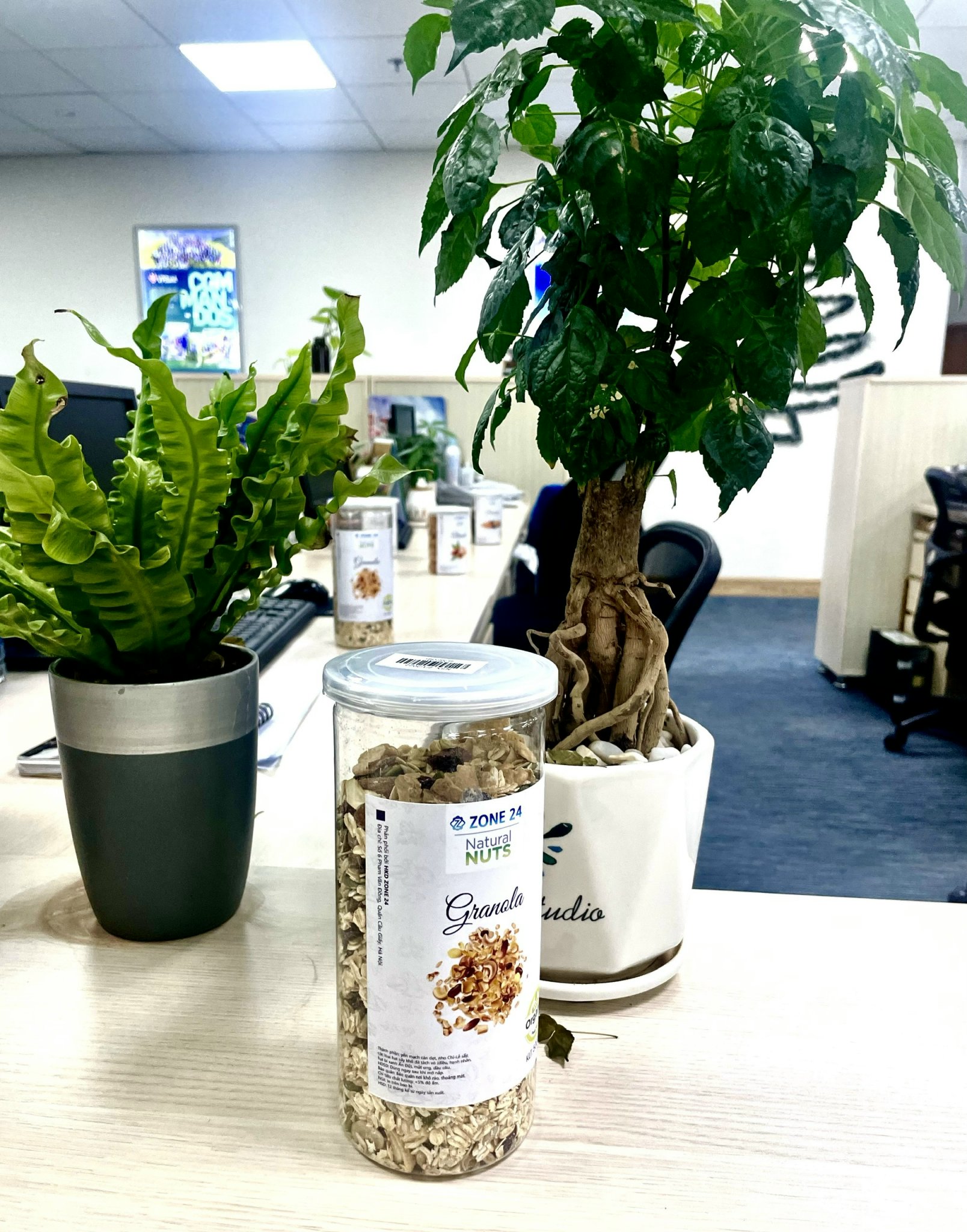 NGŨ CỐC GRANOLA 500G