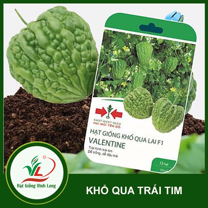Hạt giống Khổ qua trái tim - 13 hạt