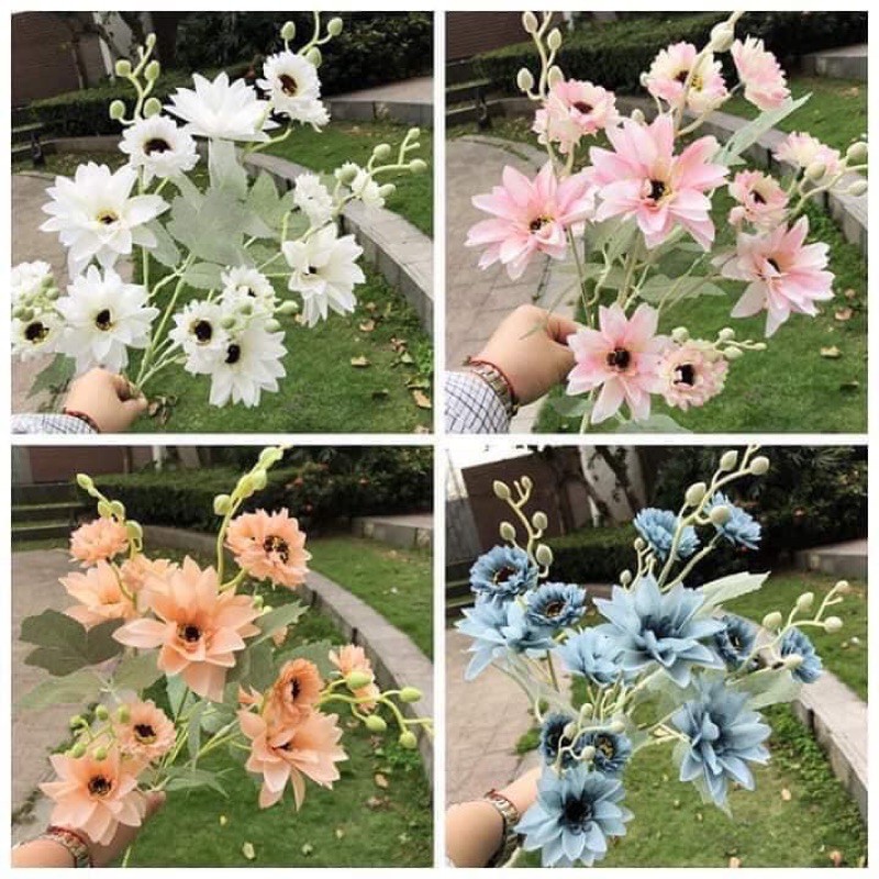 Hoa giả - Hoa cúc thược dược cao cấp