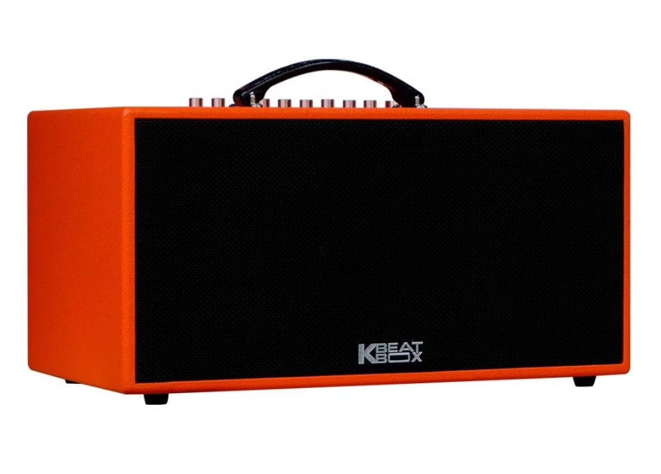 Loa Karaoke di động Acnos CS447