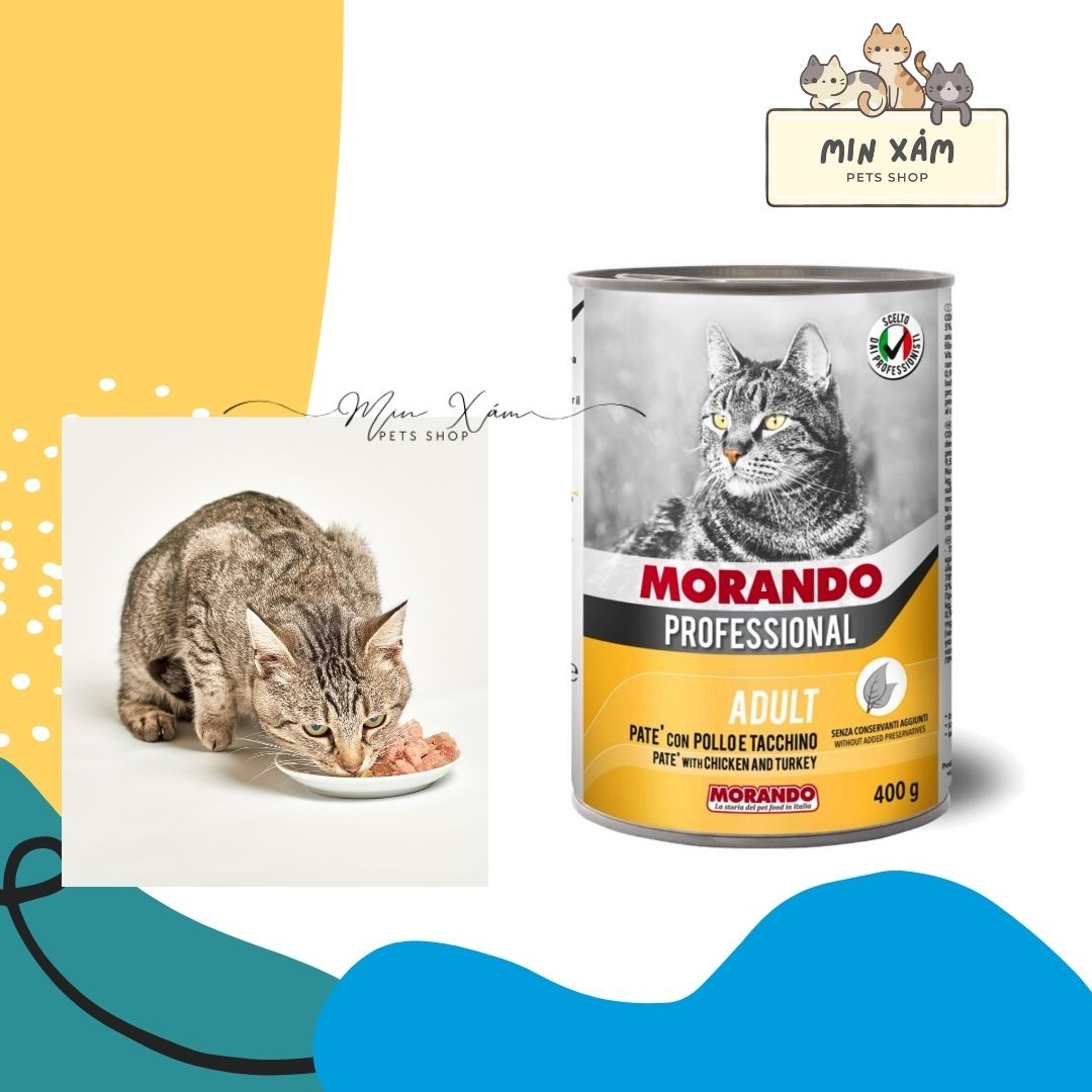 PATE MORANDO PROFESSIONAL CHO MÈO 400G MIGLIOR GATTO