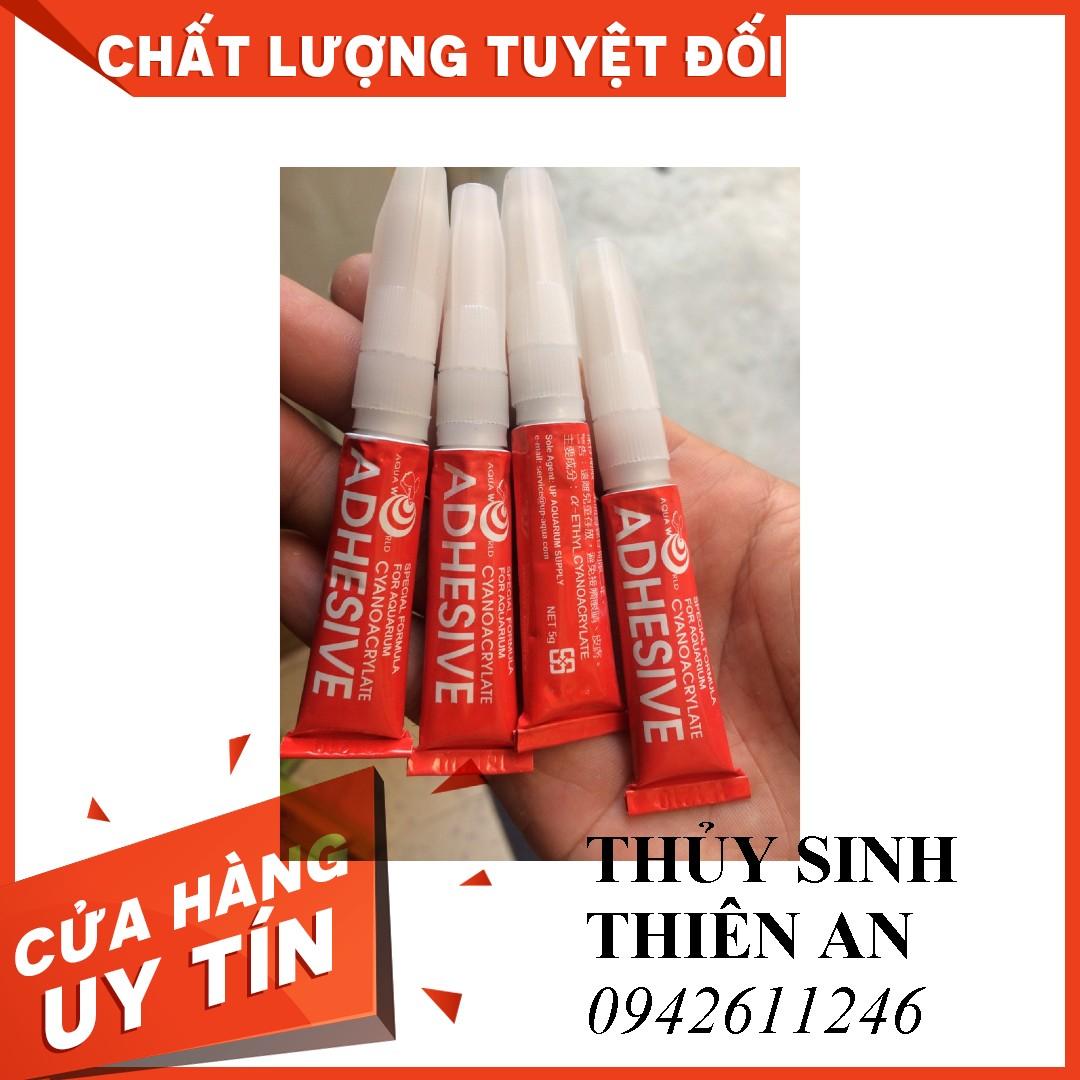 Keo dán rêu thủy sinh