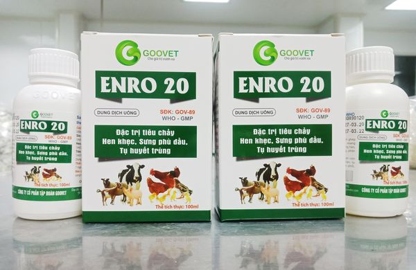 ENRO ONE