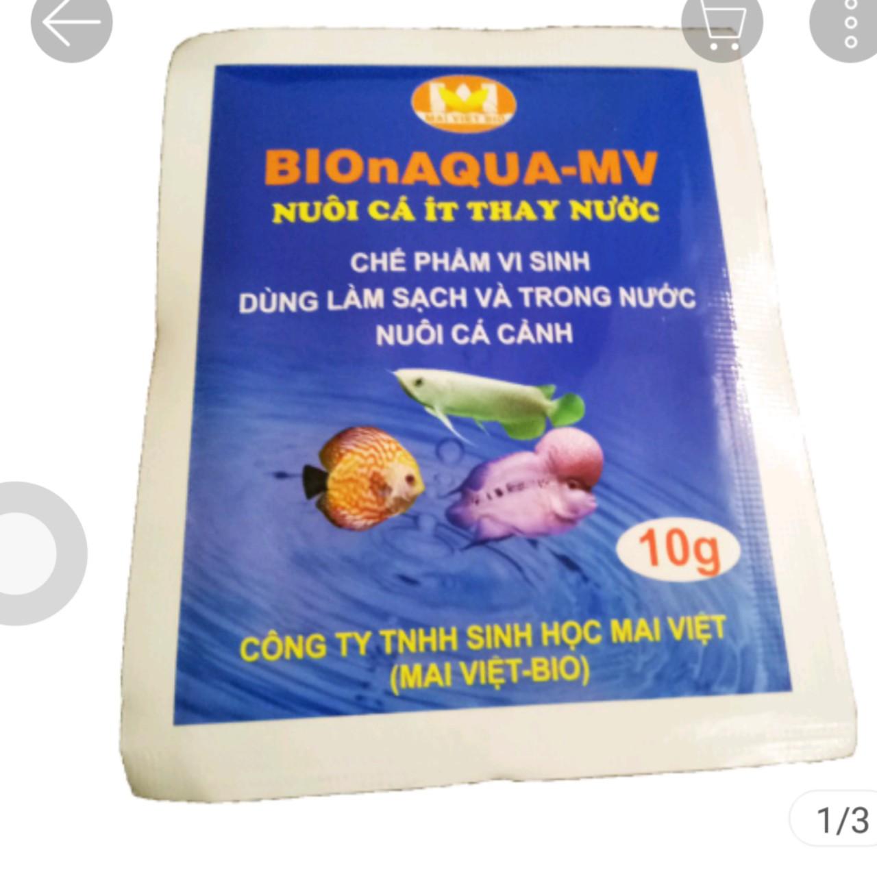 Men vi sinh Mai Việt xử lý nước hồ cá