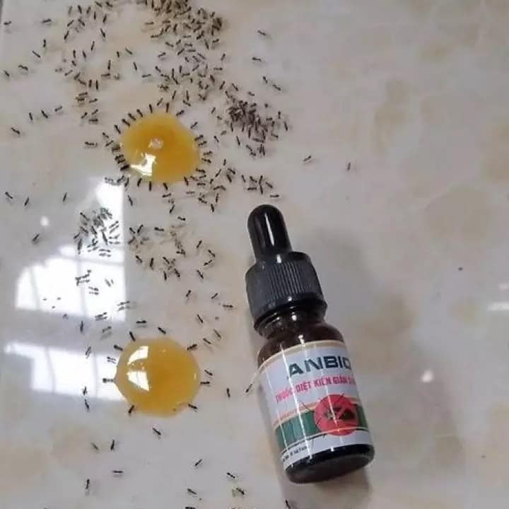 COMBO 3 LỌ Thuốc Diệt Kiến - Diệt Gián Sinh Học Anbio