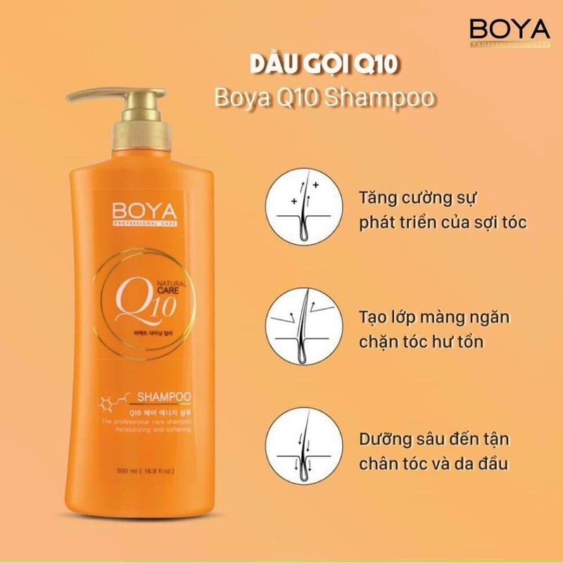 Dầu gội BOYA Q10 Thái Lan Chính Hãng