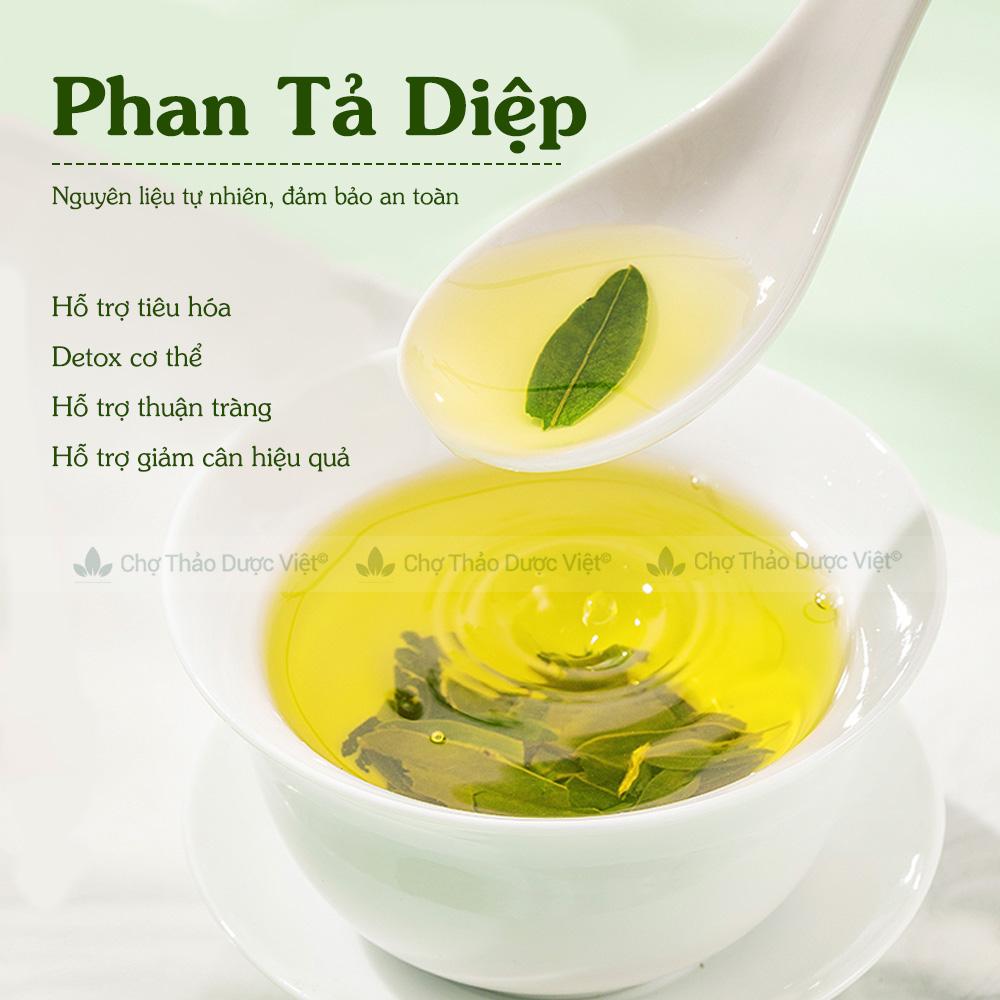 Phan Taa Diep 1kg, Dried Phan Taa Diep Leaves, Clean, Crumb-Free, Without Impurities - Viet Herbal Market