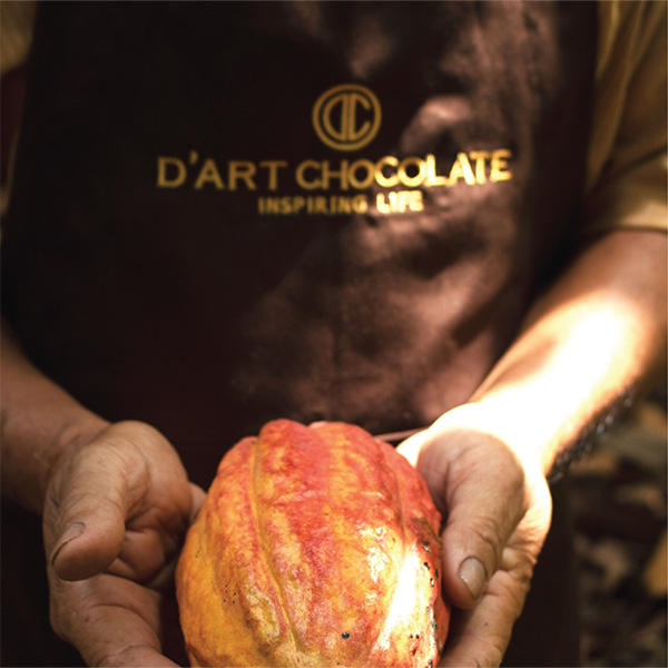 Thanh Socola Gold D'Art Chocolate 80g