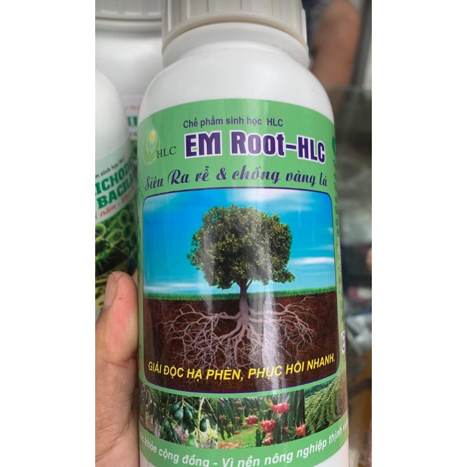 Chế phẩm sinh học siêu ra rễ em - root hlc chai 500ml